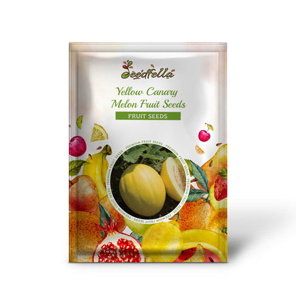 Yellow Canary Melon Fruit Seeds Planting