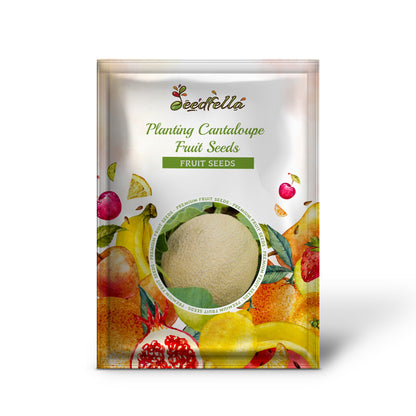 Planting Cantaloupe Fruit Seeds: Grow Nutritious Yellow Melons for Abundant Harvests
