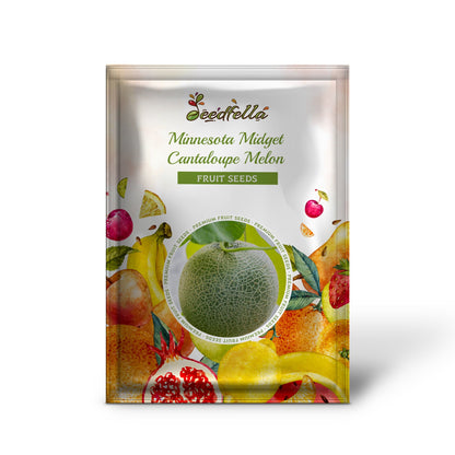 Minnesota Midget Cantaloupe Melon (Cucumis melo reticulatus) Fruit Seeds