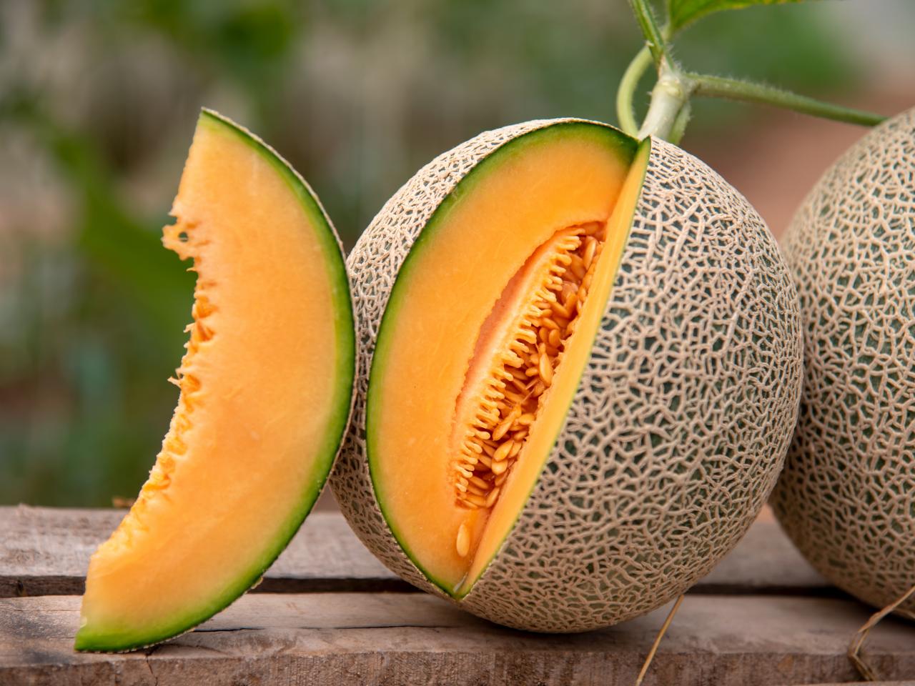 Plant Cantaloupe Melon Seeds For A Flavorful Light Orange Harvest heirloom non-gmo organic garden seeds