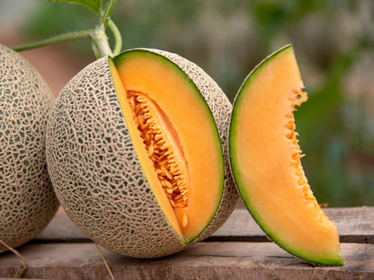 Plant Cantaloupe Melon Seeds For A Flavorful Light Orange Harvest heirloom non-gmo organic garden seeds