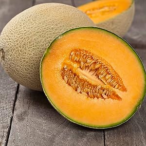 Cantaloupe Cucumis Melo Fruit Seeds For Planting In Vegetable Patch heirloom non-gmo organic garden seeds