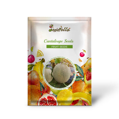 Cantaloupe Seeds for Planting: Cream Variety