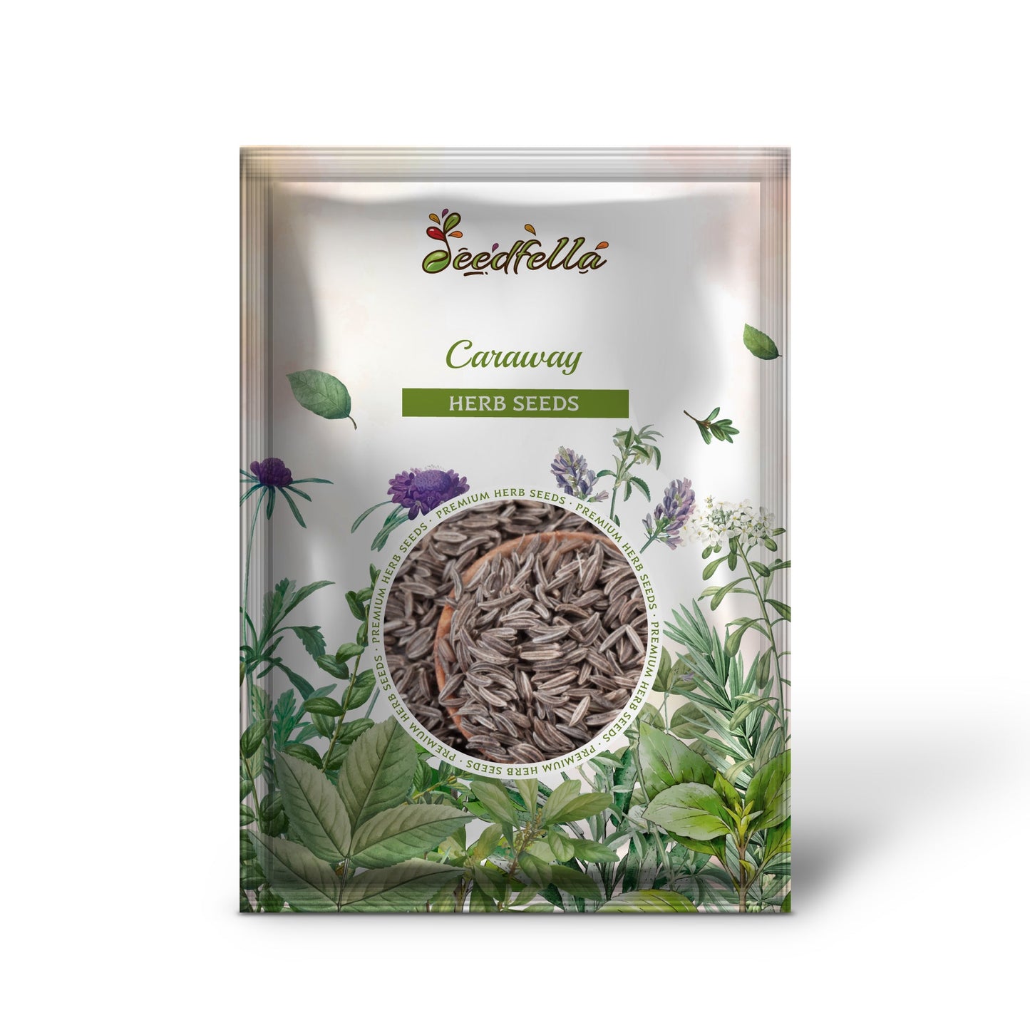 Caraway (Carum carvi) Herb Flower Seeds