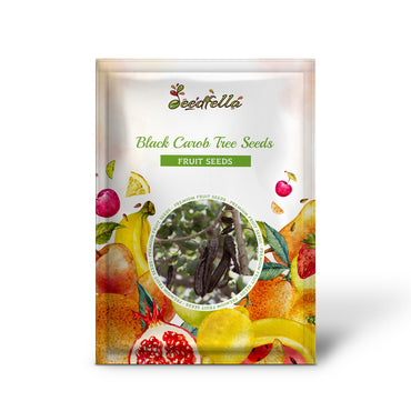 Black Carob Tree Seeds for Planting