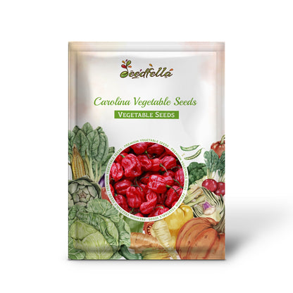 Carolina Vegetable Seeds for Easy Planting