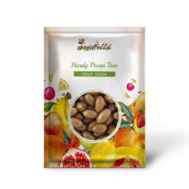 Hardy Pecan Tree (Carya illinoinensis) King Nut Native Fruit Tree Seeds – Large, Tasty Nuts