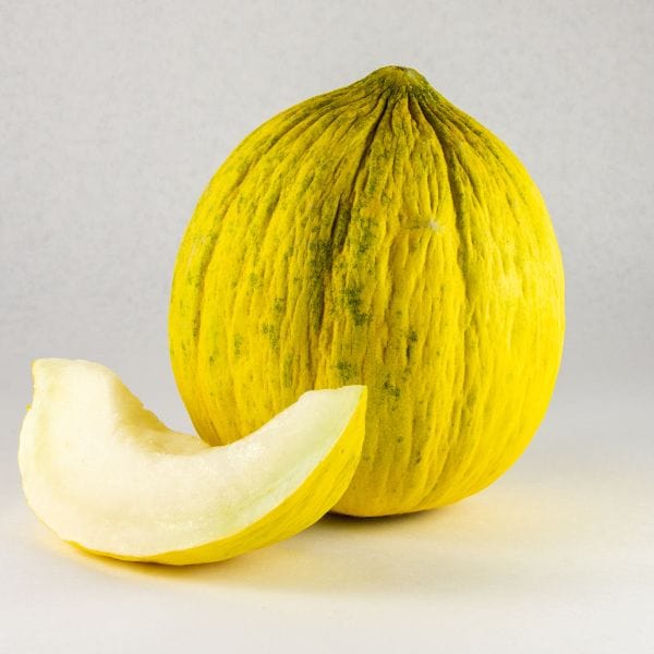 Golden Beauty Casaba Melon (Cucumis Melo) Fruit Seeds – Sweet, Golden Melon Variety for Your Garden