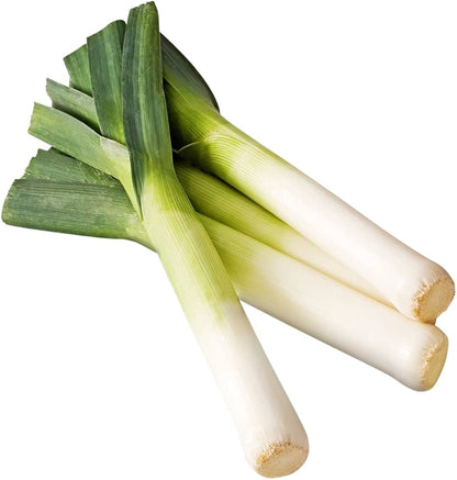 Casimir Leek Allium ampeloprasum Seeds for Planting herb patch vegetable garden