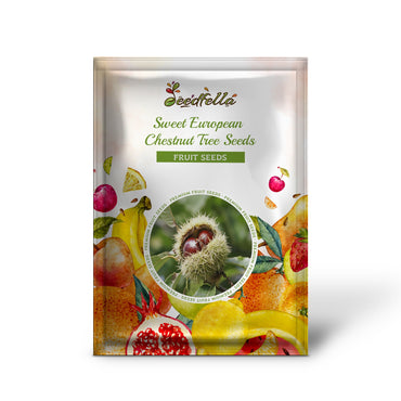 Süße Samen der Edelkastanie - Castanea sativa