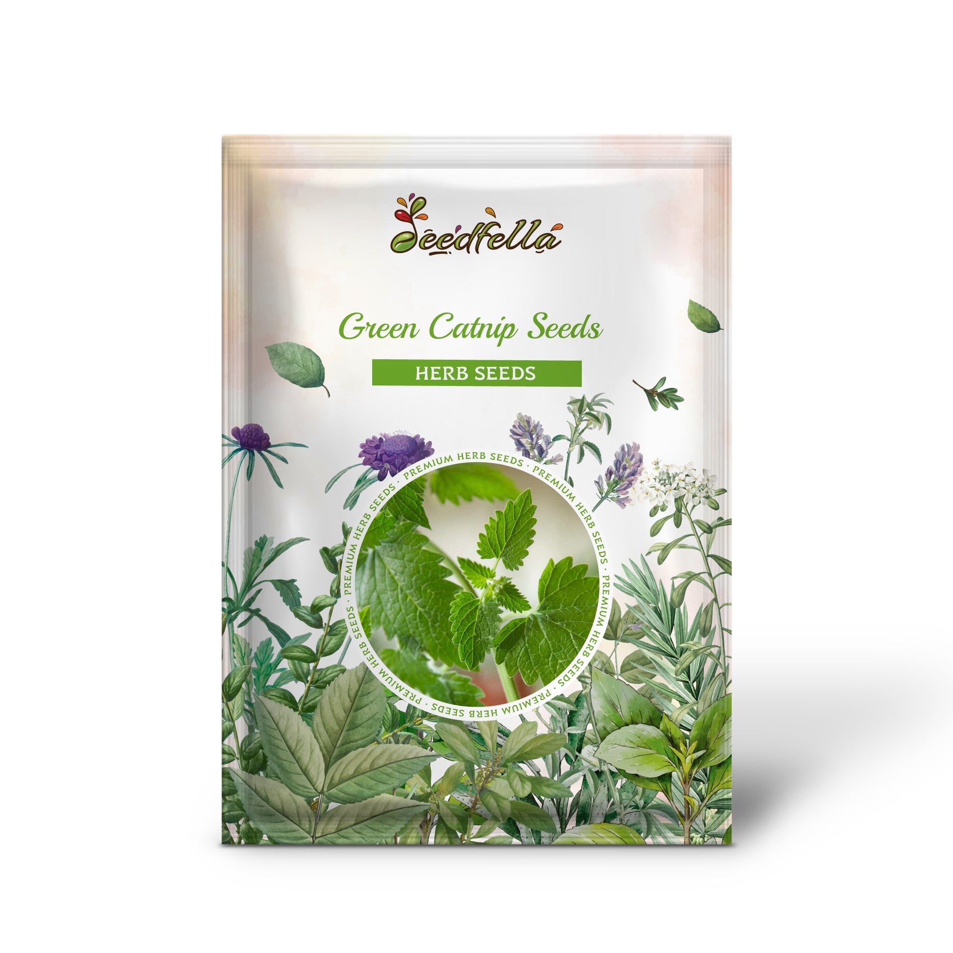 planting catnip seeds Green Catnip Seeds For Easy Planting Organic Garden Seeds – Pure Asia Seeds