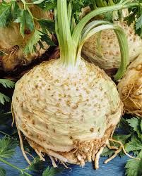 Giant Prague Celeriac (Apium Graveolens) Celery Root Vegetable Seeds