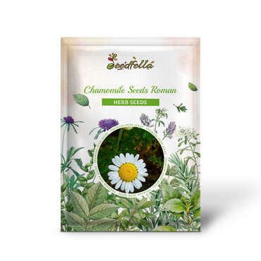 Chamomile Seeds - Roman (Chamaemelum nobile)