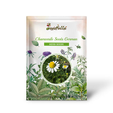 Chamomile Seeds - German (Matricaria recutita)