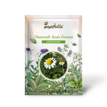 Chamomile Seeds - German (Matricaria recutita)
