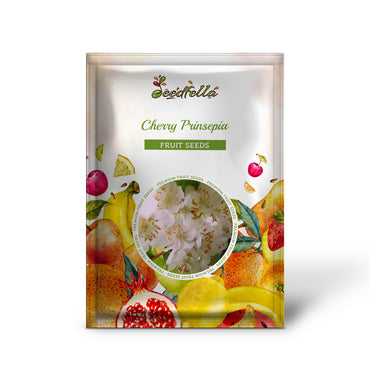 Cherry Prinsepia (Chinese Sinensis) Edible Red Fruit Tree Shrub Flower Seeds