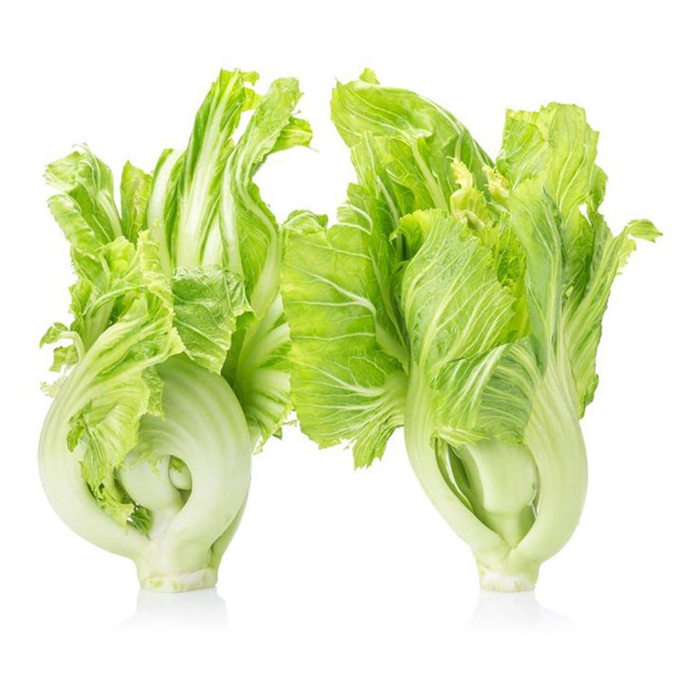 Chinese Mustard Brassica Juncea Seeds For Planting In Vegetable Patch And Herb Garden heirloom non-gmo organic garden seeds