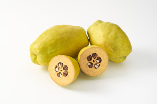 Chinese Quince Fruit Tree Chaenomeles Sinensis Thornless Fruit & Flower Seeds heirloom non-gmo organic garden seeds