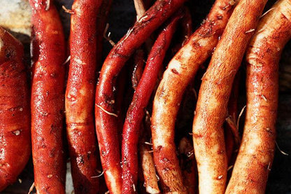 Chinese Red-Rooted Sage (Salvia miltiorrhiza) Seeds