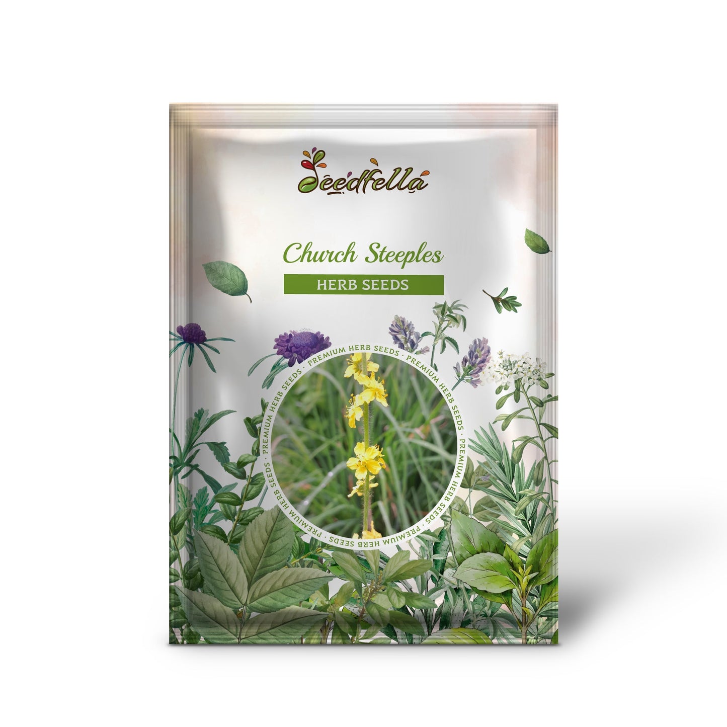 Church Steeples (Agrimonia eupatoria) Agrimony or Sticklewort Perennial Herb Yellow Flower Seeds