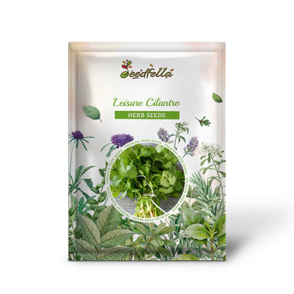 Leisure Cilantro / Coriander (Coriandrum sativum) Herb & Vegetable Seeds