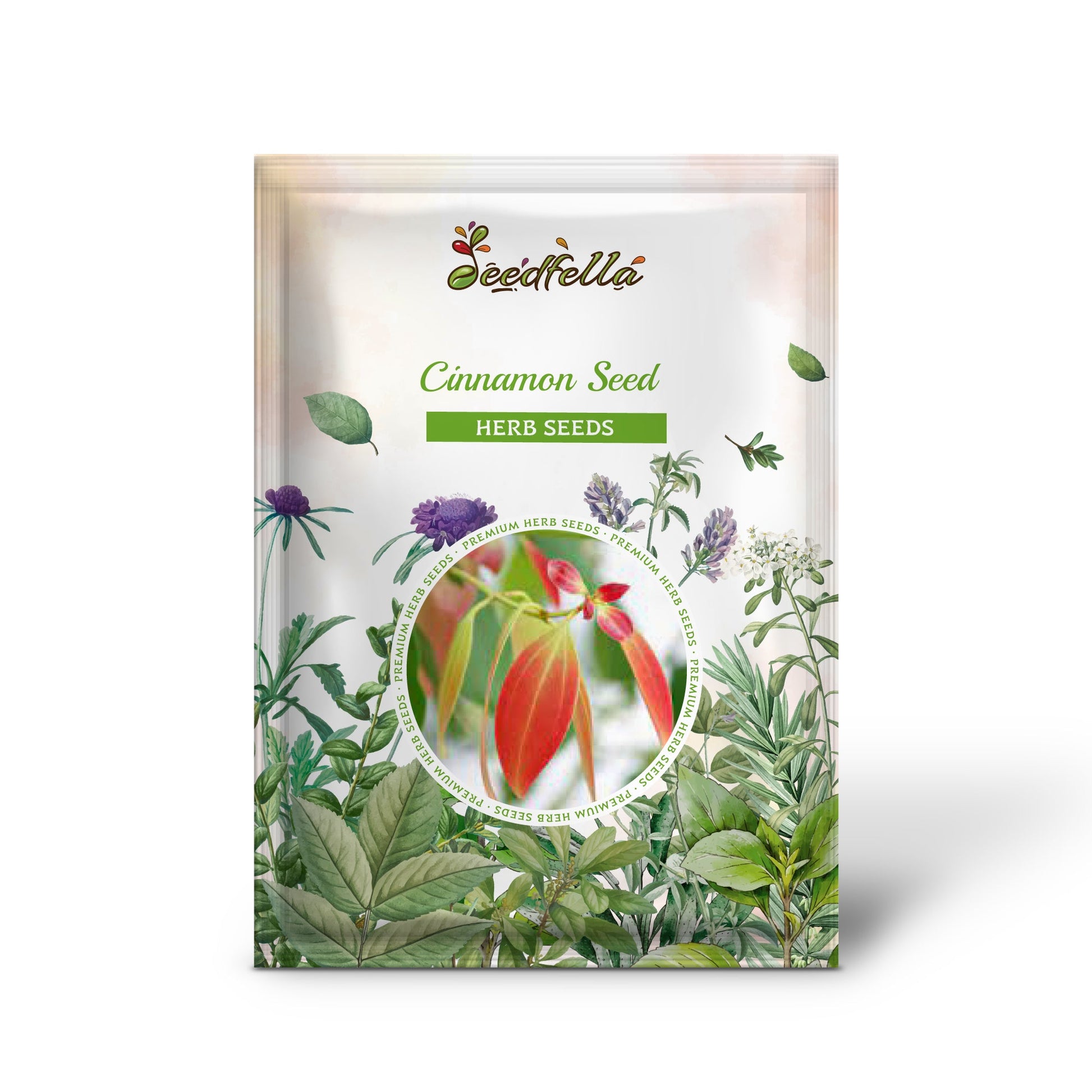 cinnamon seeds for planting Cinnamon Seed Planting Pack Organic Garden Seeds – Pure Asia Seeds