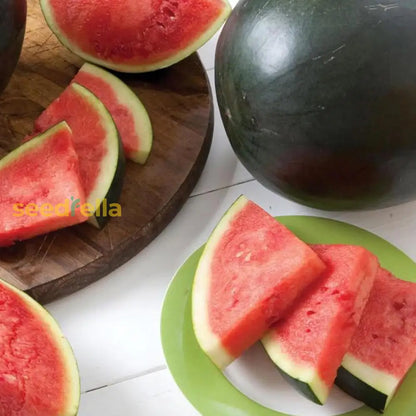 Densuke Watermelon Seeds for Planting | Grow Sweet and Juicy Watermelons at Home