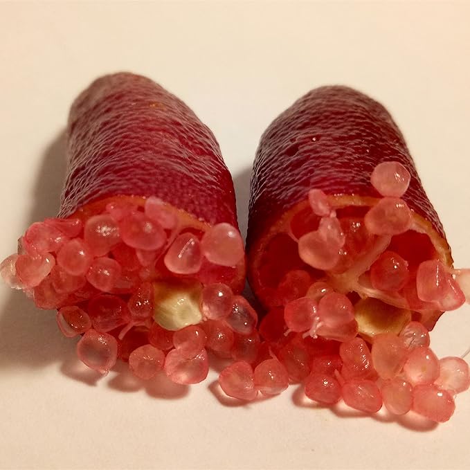 Ice Pink Finger Lime Fruit Seeds, Pomegranate for Balcony Plants