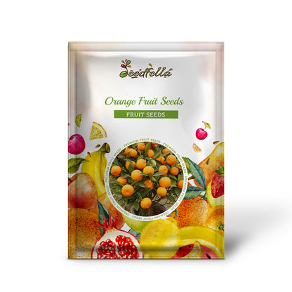 Orange Fruit Seeds for Planting - Grow Delicious Oranges at Home