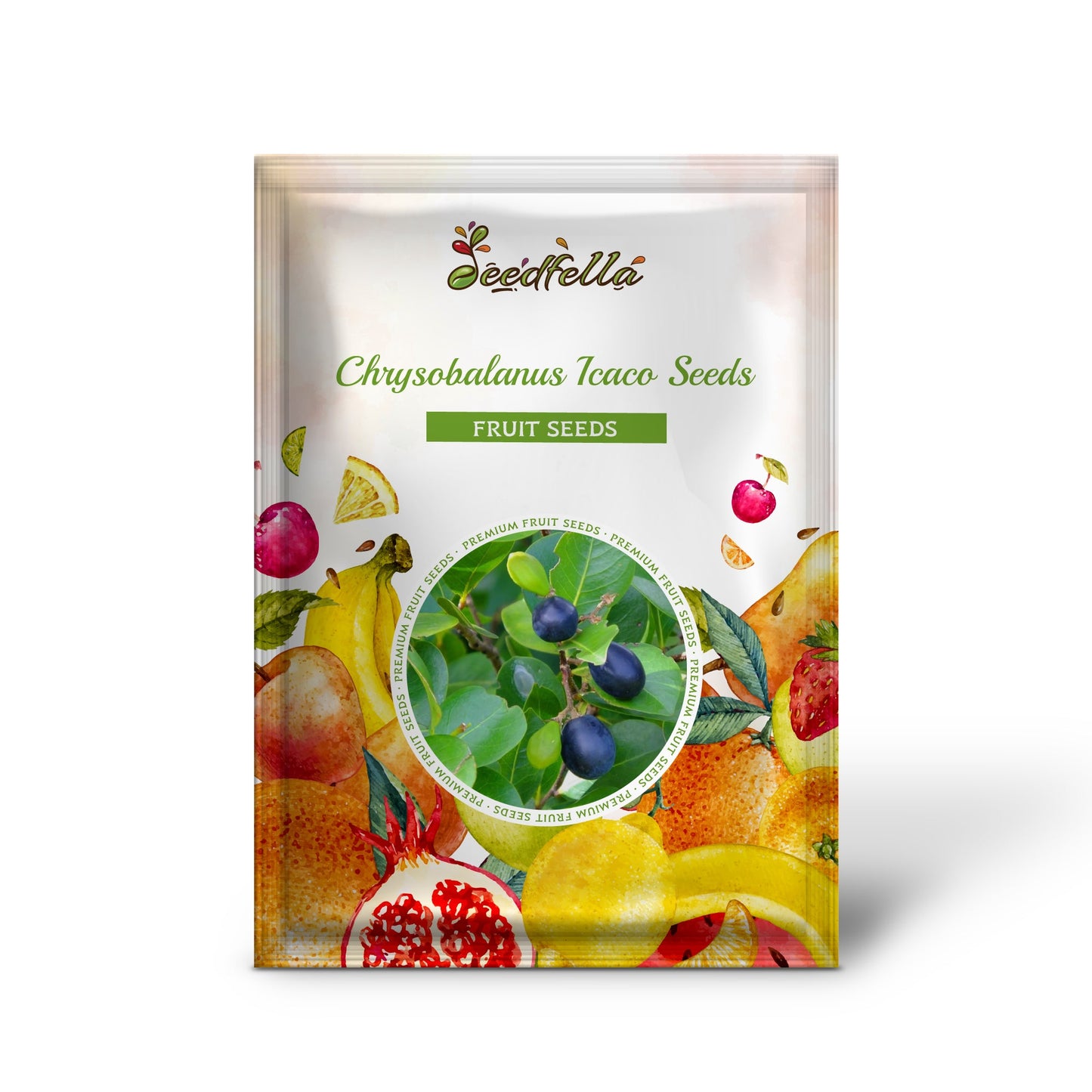 Chrysobalanus Icaco Seeds for Planting - Grow Edible Black Fruit Plants