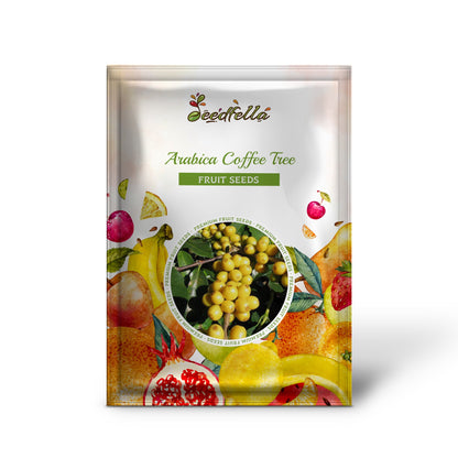 Arabica Coffee Tree (Coffea arabica) Shrub Seeds – Grow Your Own Coffee!