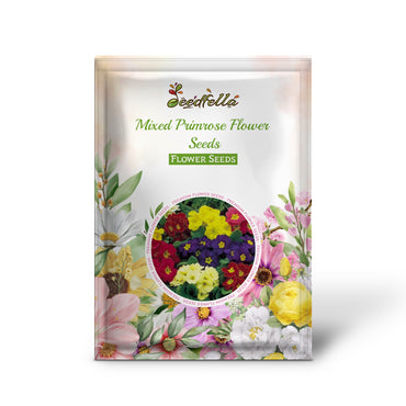 Colorful Primrose flower seeds for home gardening