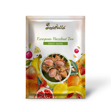 European Hazelnut Tree (Corylus Avellana) Seeds – Common Filbert Edible Nut Fruit Tree