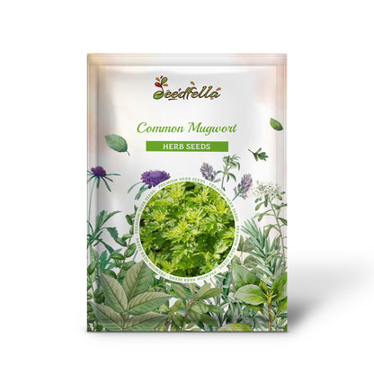 Common Mugwort (Artemisia Vulgaris) Wild Wormwood Herb Yellow Red Flower Seeds