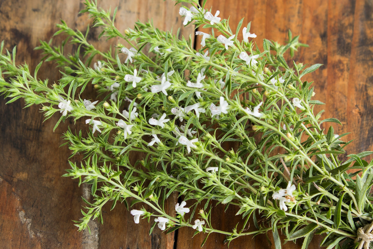 Summer Savory Seeds (Satureja hortensis)
