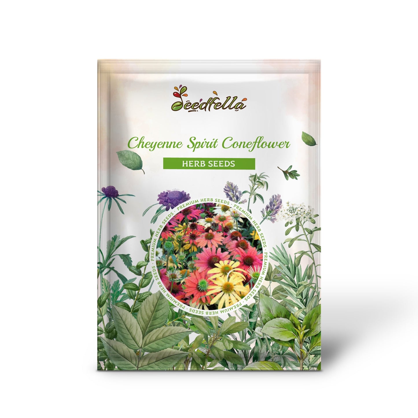 Cheyenne Spirit Coneflower (Echinacea) Herb Flower Seeds – Orange, Red, Yellow, Purple, Pink, White