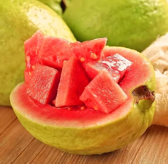 Guava Psidium guajava Fruit Seeds for Planting in Tropical Garden