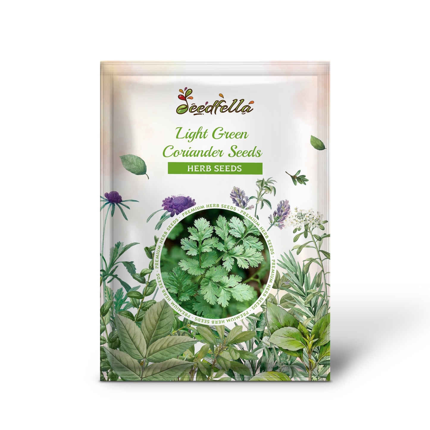 Light Green Coriander Seeds - Perfect for Vegetable Planting