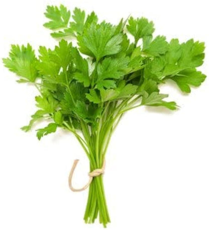 Coriander Herb Seeds – Organic Seasonal Parsley Plant