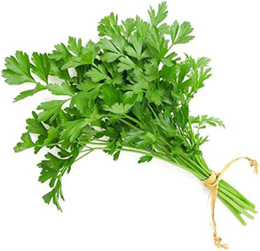 Coriander Herb Seeds – Organic Seasonal Parsley Plant