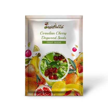 Cornelian Cherry Dogwood Seeds - Cornus mas