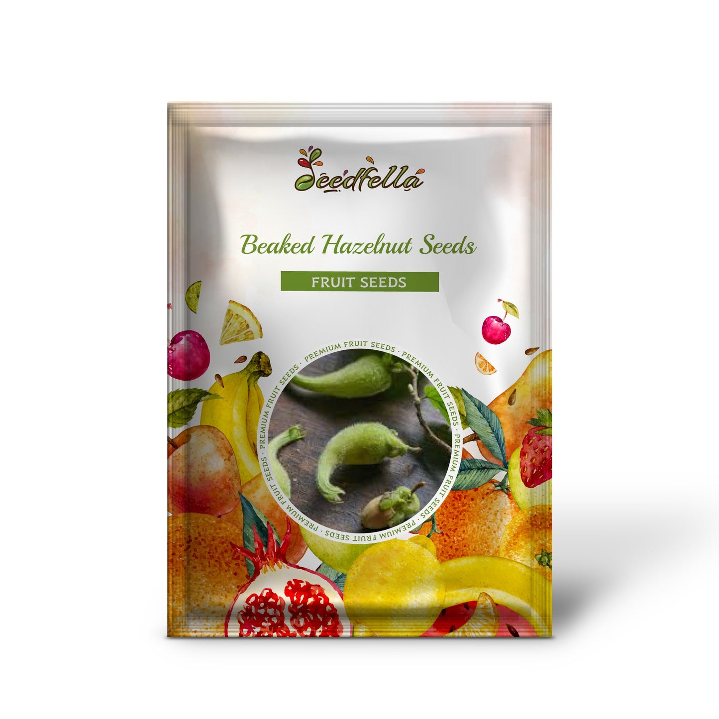 Beaked Hazelnut Seeds - Corylus cornuta