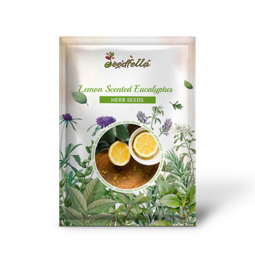 Lemon Scented Eucalyptus (Corymbia citriodora) Tree Seeds – Lemon Bush & Spotted Gum with Colorful Bark and White Flowers