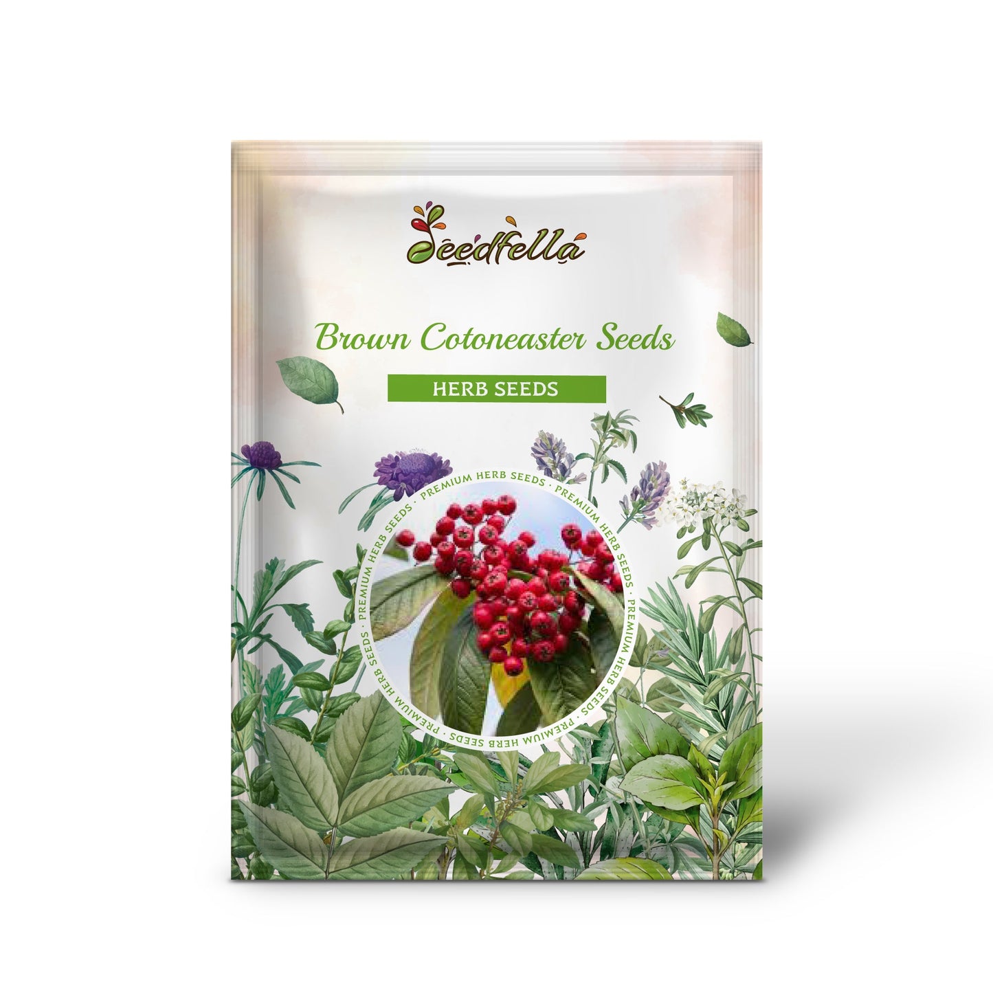 Brown Cotoneaster Seeds for Planting