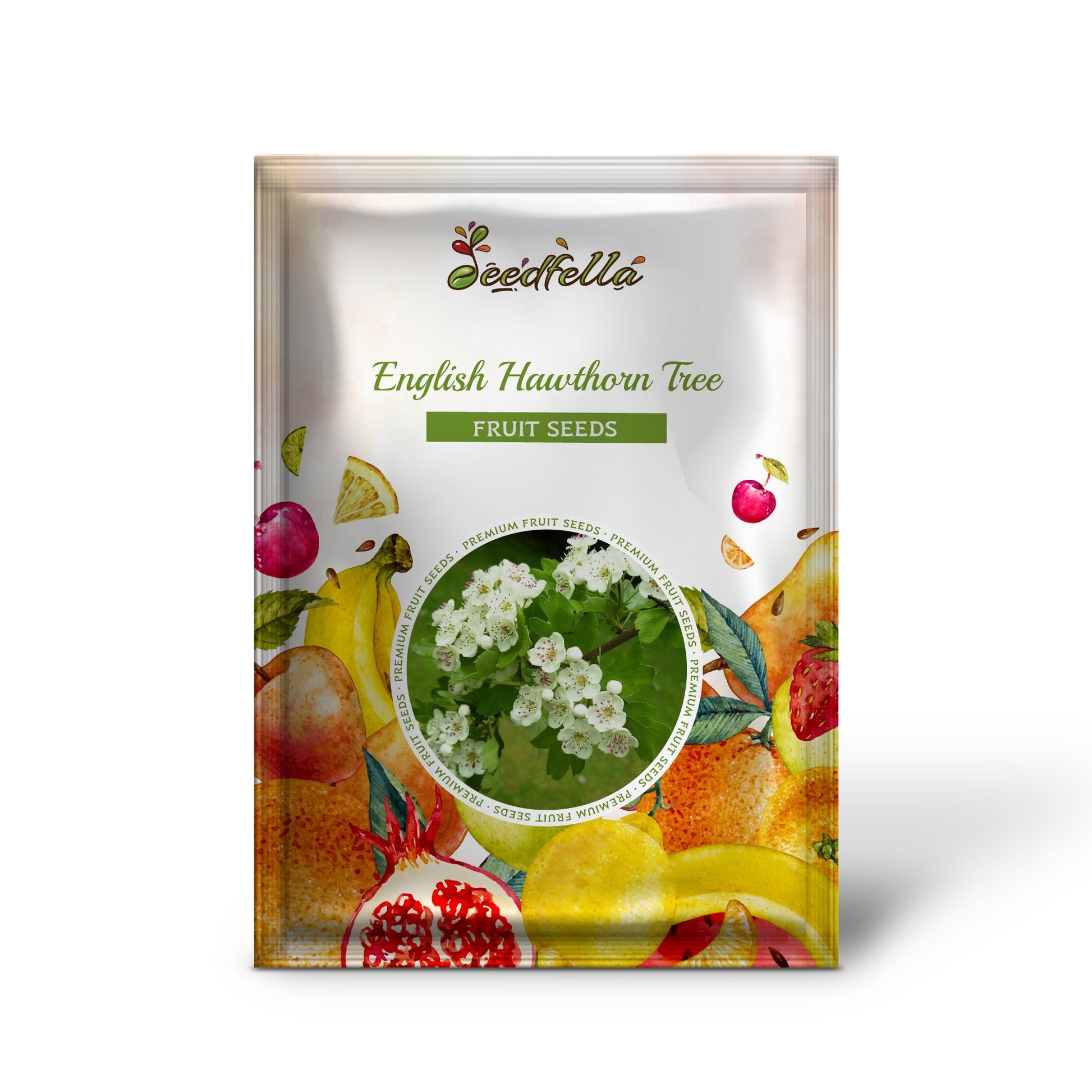 echinacea laevigata seeds for sale English Hawthorn Tree Crataegus Laevigata – Edible Fruit, Mayflower – Seeds Organic Garden Seeds – Pure Asia Seeds