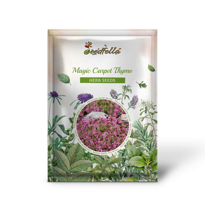 Magic Carpet Thyme (Thymus vulgaris 'Magic Carpet') Seeds
