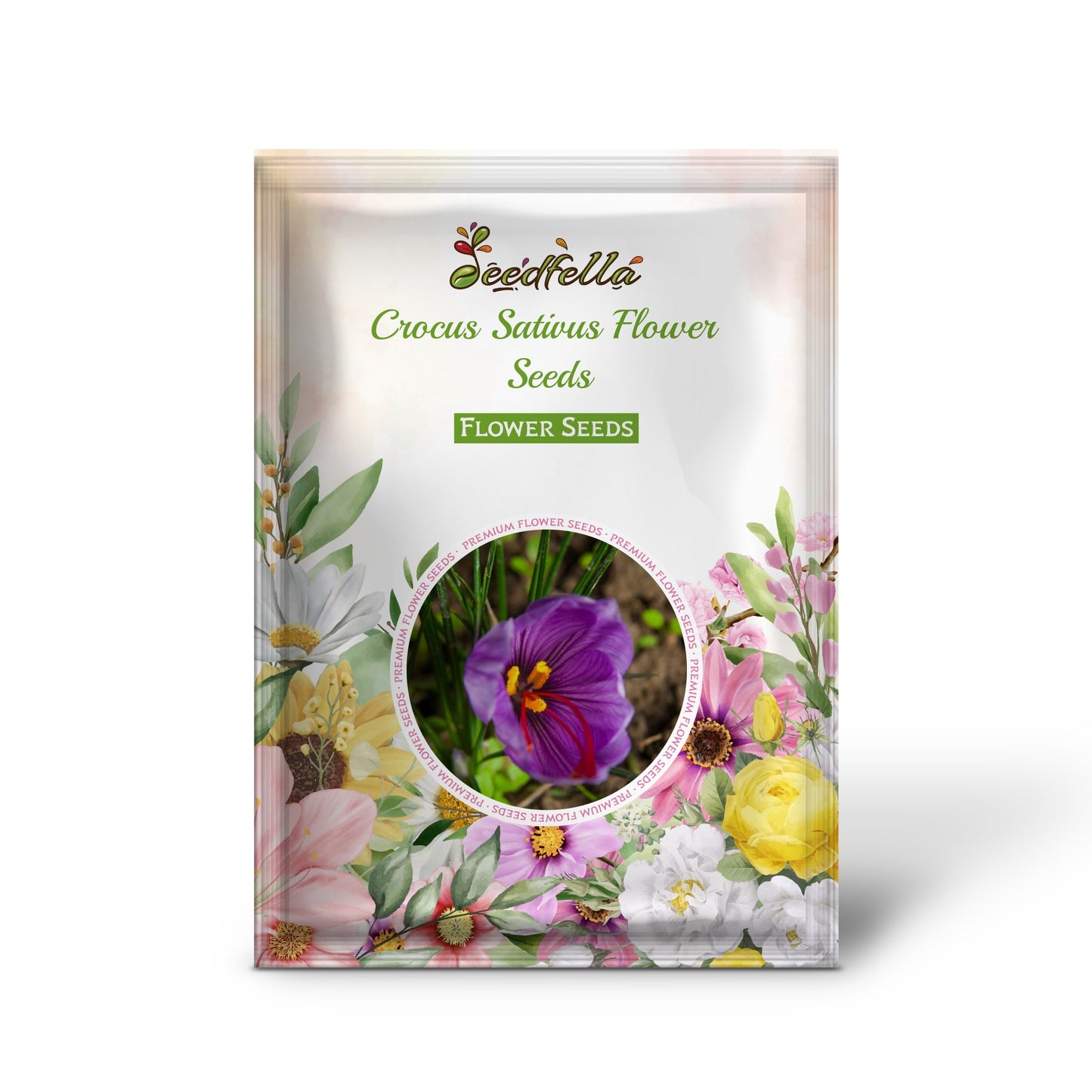 Crocus Sativus Flower Seeds for Easy Planting  Purple Blooms