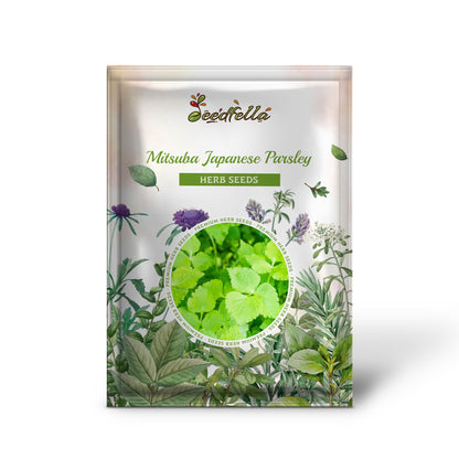Mitsuba Japanese Parsley (Cryptotaenia japonica) Seeds – 50-60 Days
