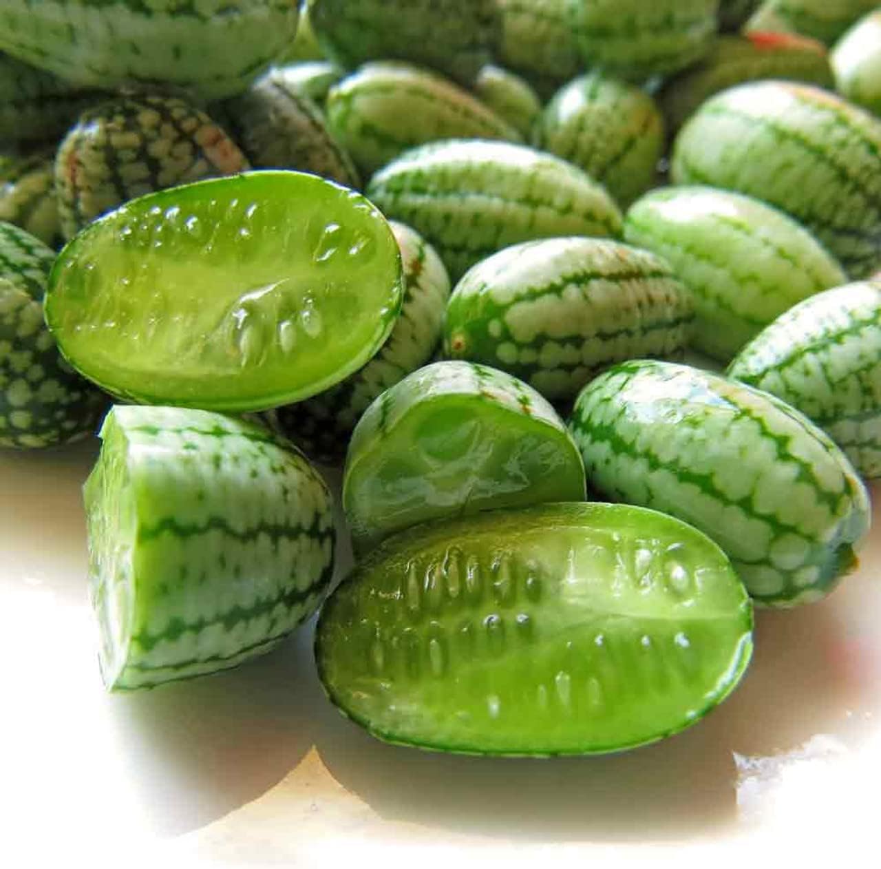 Cucamelon Seeds For Easy Planting heirloom non-gmo organic garden seeds