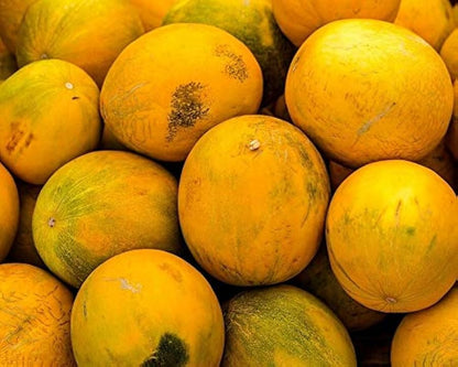 Kolkhoznitsa Melon (Cucumis Melo) Russian Fruit Seeds